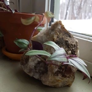 Meet your Posher, Shannon